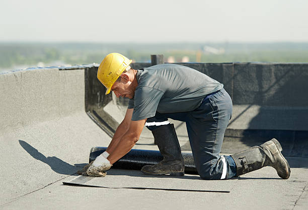 Best Insulation Maintenance and Repair in Alpine, CA