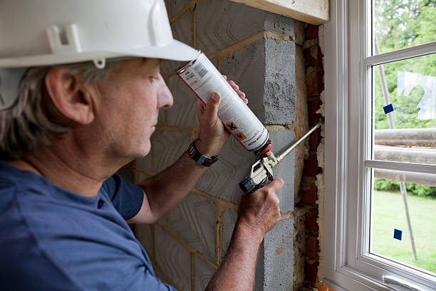 Best Eco-Friendly Insulation in Alpine, CA