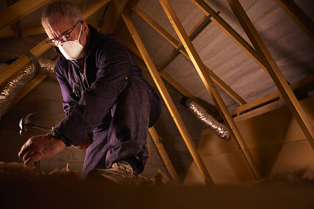 Best Commercial Insulation in Alpine, CA